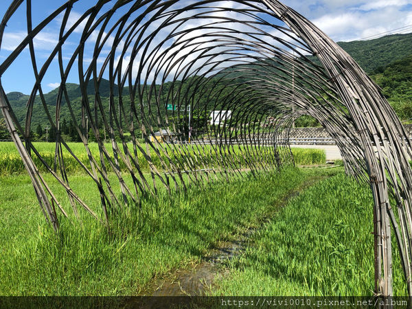 圓圓家出去玩-《花蓮景點》新社無邊際梯田，寬闊視野，藍天下的綠色稻浪，最佳打卡景點