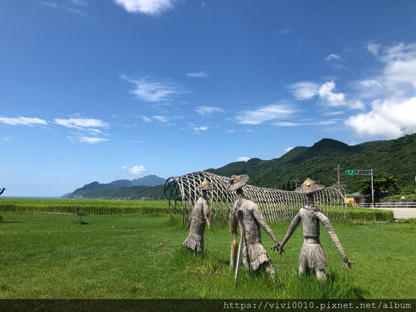 圓圓家出去玩-《花蓮景點》新社無邊際梯田，寬闊視野，藍天下的綠色稻浪，最佳打卡景點