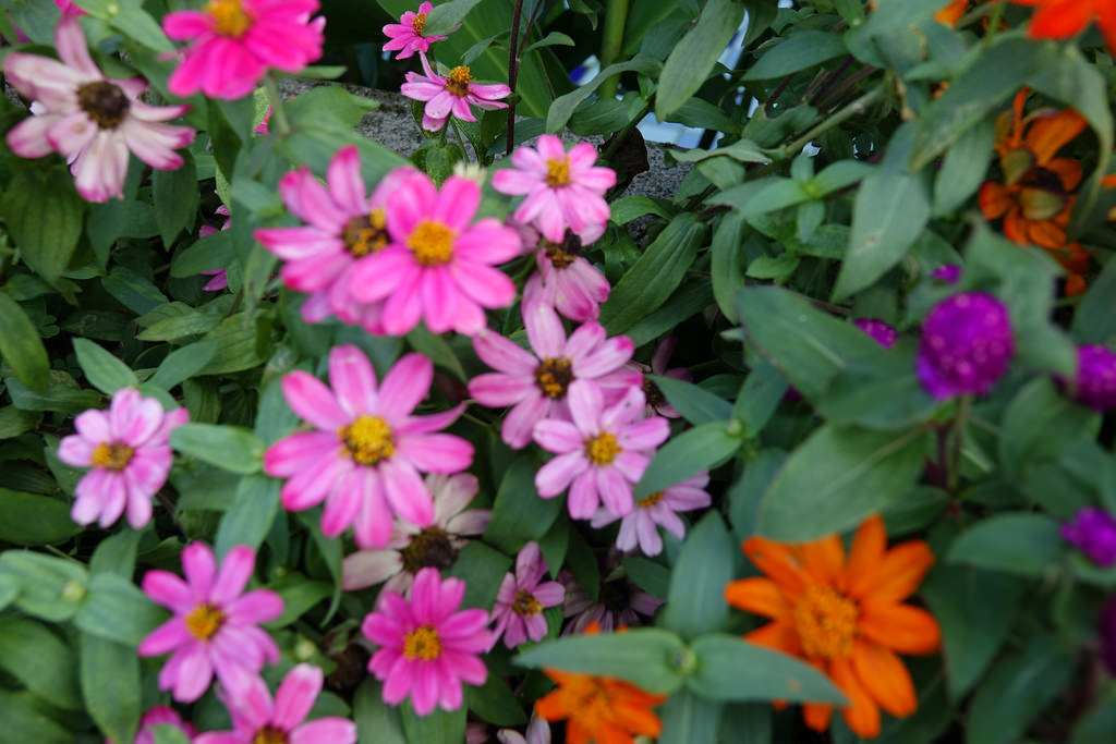 20171021_日月潭花火節 (303)