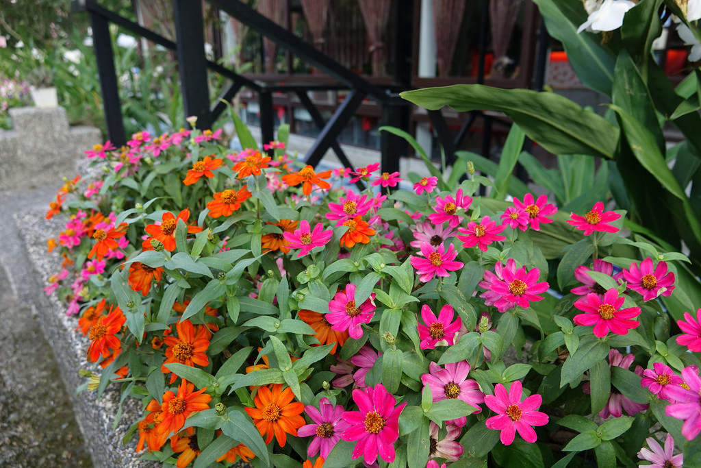 20171021_日月潭花火節 (305)