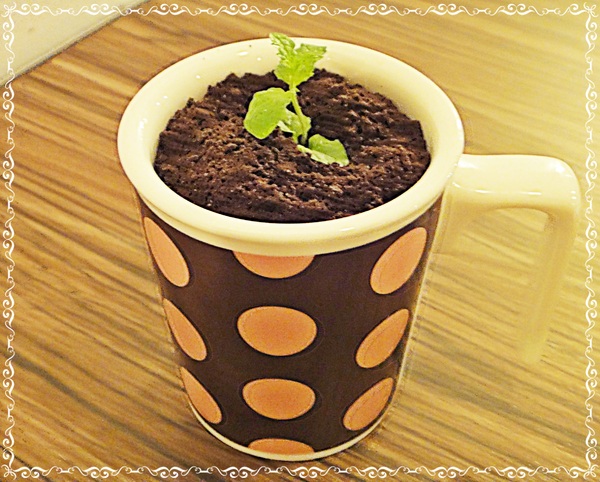 溫古咖啡Wengu cafe：✜ 讓人有好心情滴簡單小確幸 －「溫古咖啡」(*￣︶￣*)