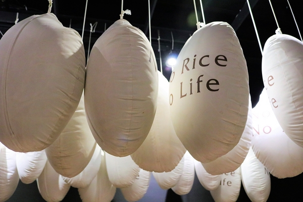 中興糓堡稻米博物館:【彰化埤頭景點】中興穀堡RICE CASTLE~米食營養與無洗米健康新概念,互動裝置趣味十足,品嘗米食大變身