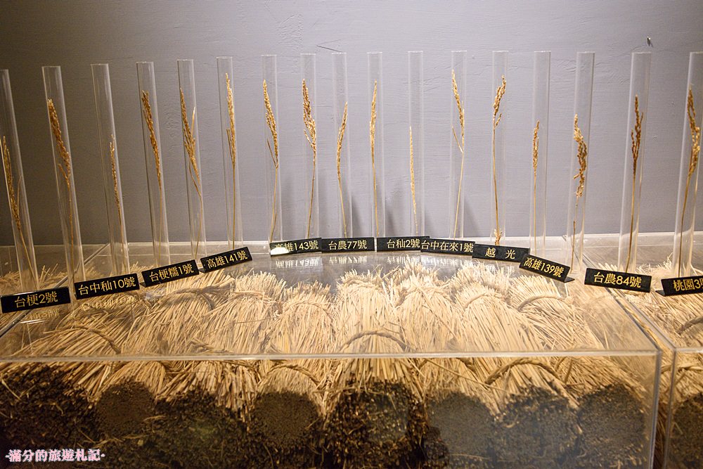 彰化埤頭景點》台灣穀堡 中興米觀光工廠 免門票的異國城堡 認識米知識 玩樂DIY爆米香 - 滿分的旅遊札記