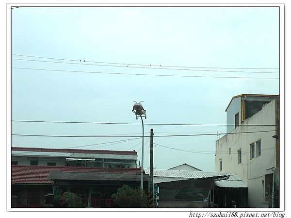 16 (3).jpg 16 (3).jpg