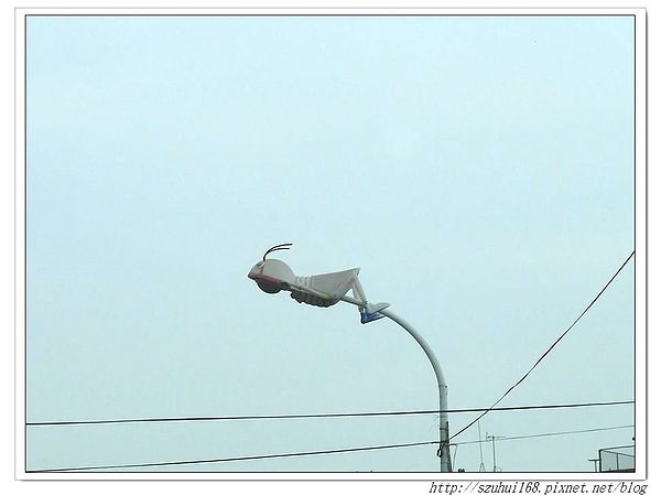 16 (2).jpg 16 (2).jpg