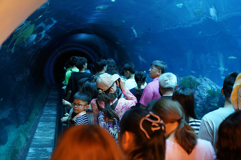 海生館夜宿 (50)