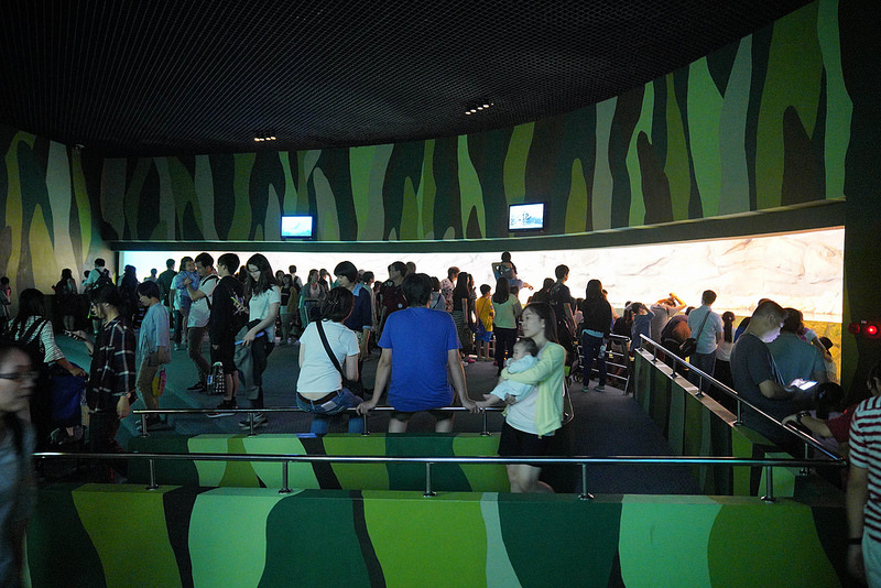 海生館夜宿 (149)