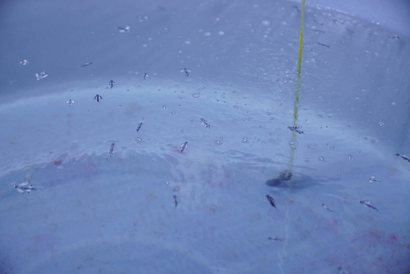 海生館夜宿 (198)