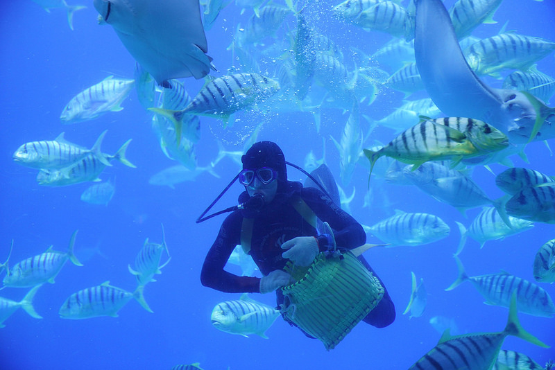 海生館夜宿 (254)