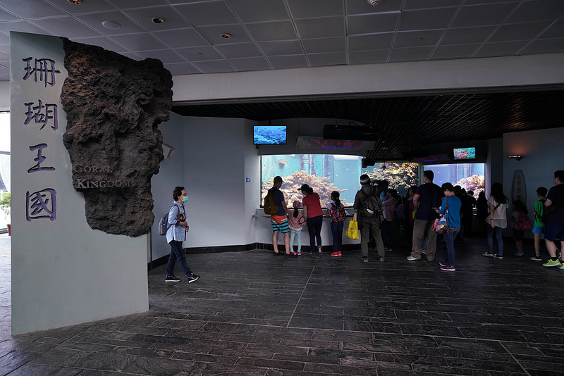 海生館夜宿 (45)