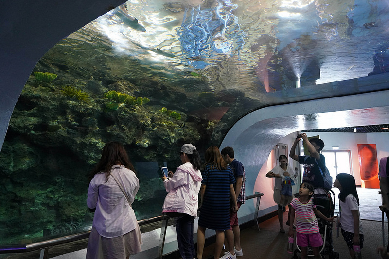 海生館夜宿 (27)