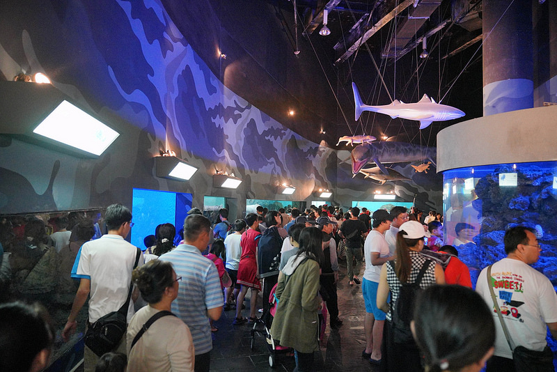 海生館夜宿 (128)