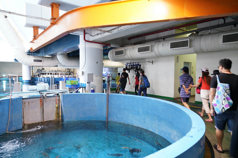 海生館夜宿 (90)