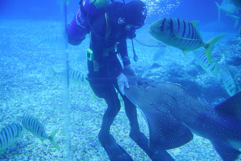 海生館夜宿 (256)