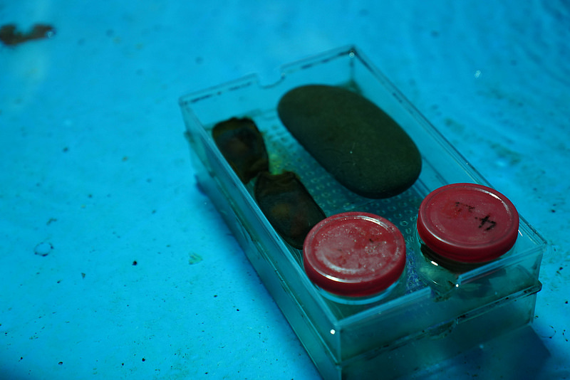 海生館夜宿 (98)