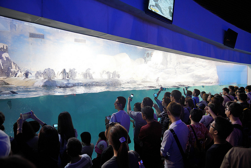 海生館夜宿 (159)