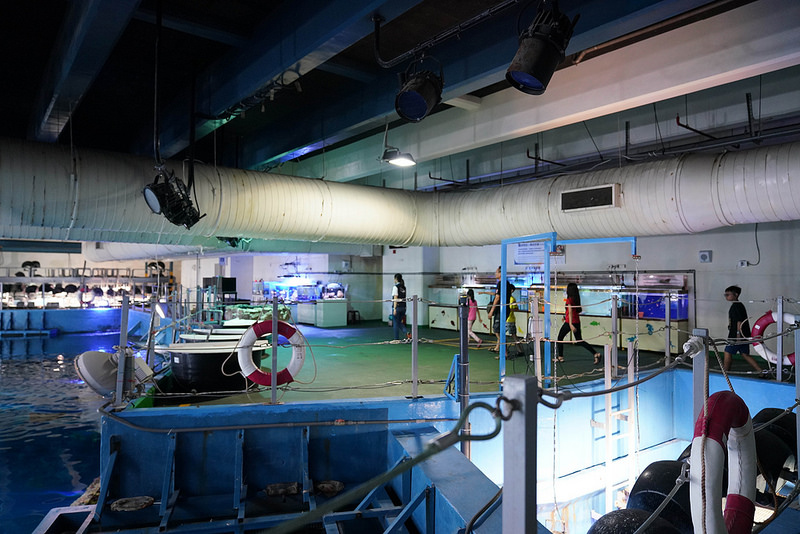 海生館夜宿 (91)