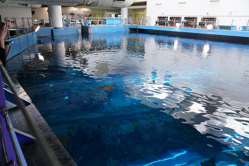 海生館夜宿 (93)