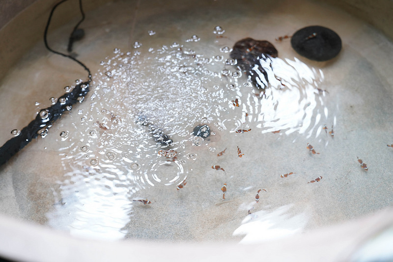 海生館夜宿 (118)