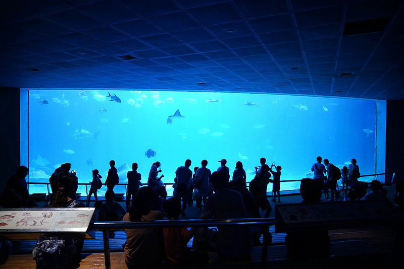 海生館夜宿 (34)