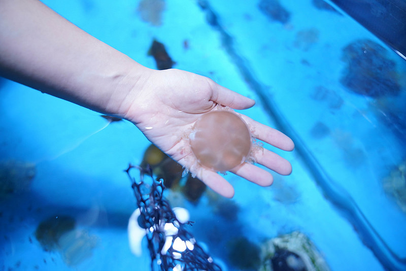 海生館夜宿 (207)