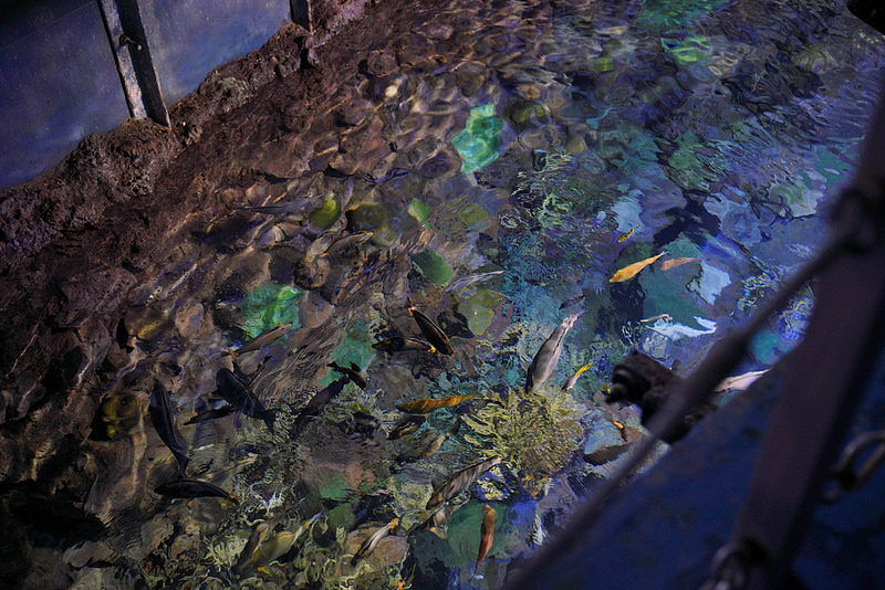 海生館夜宿 (210)