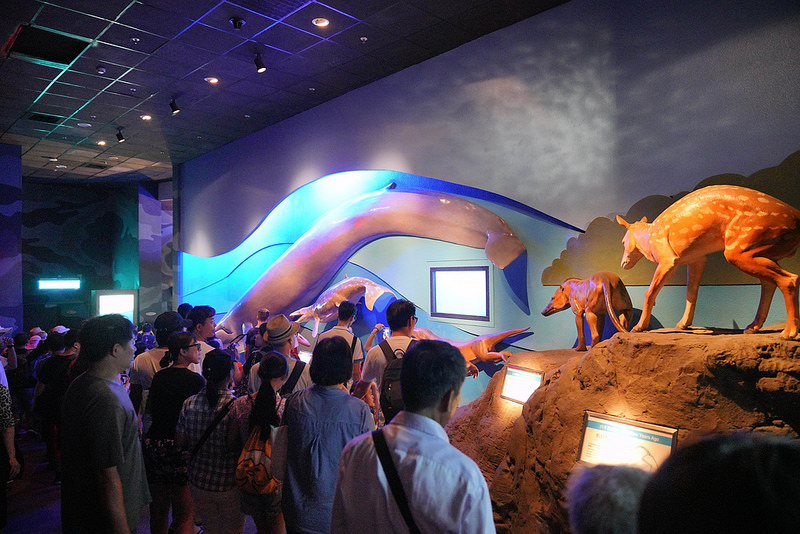 海生館夜宿 (127)