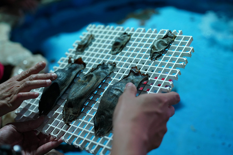 海生館夜宿 (97)