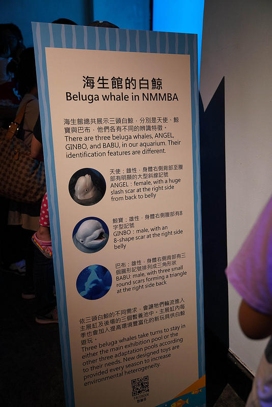 海生館夜宿 (55)