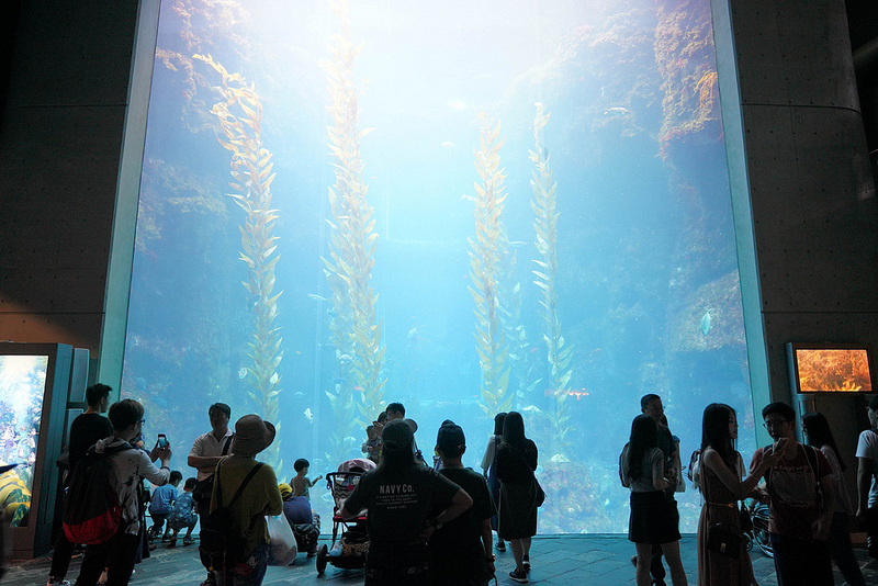 海生館夜宿 (150)