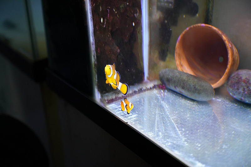 海生館夜宿 (105)