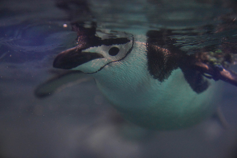 海生館夜宿 (163)
