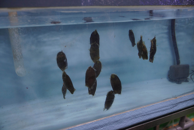 海生館夜宿 (200)