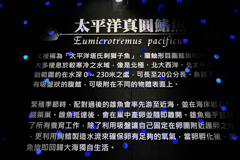 海生館夜宿 (155)