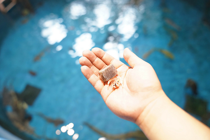 海生館夜宿 (114)