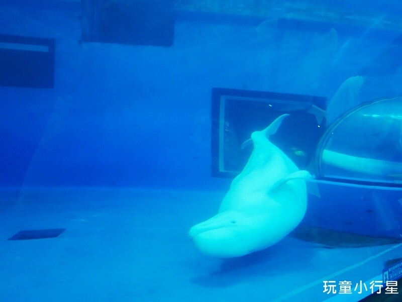 屏東室內景點｜海生館｜屏東玩水