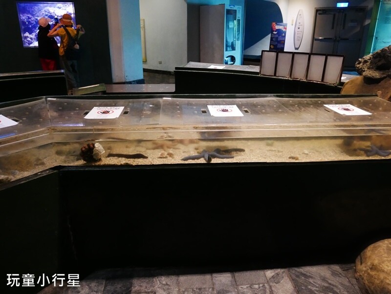 屏東室內景點｜海生館｜屏東玩水