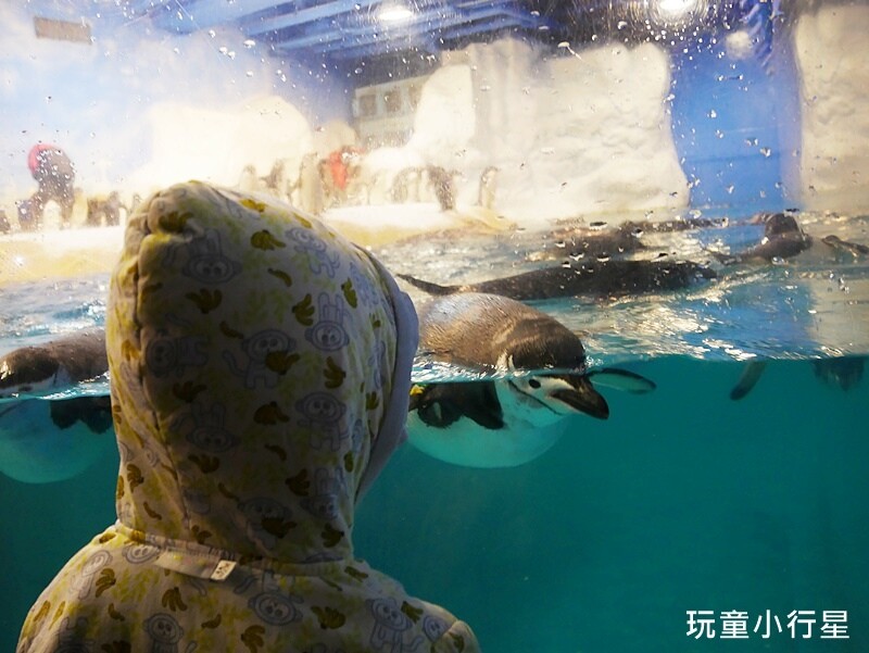 屏東室內景點｜海生館｜屏東玩水