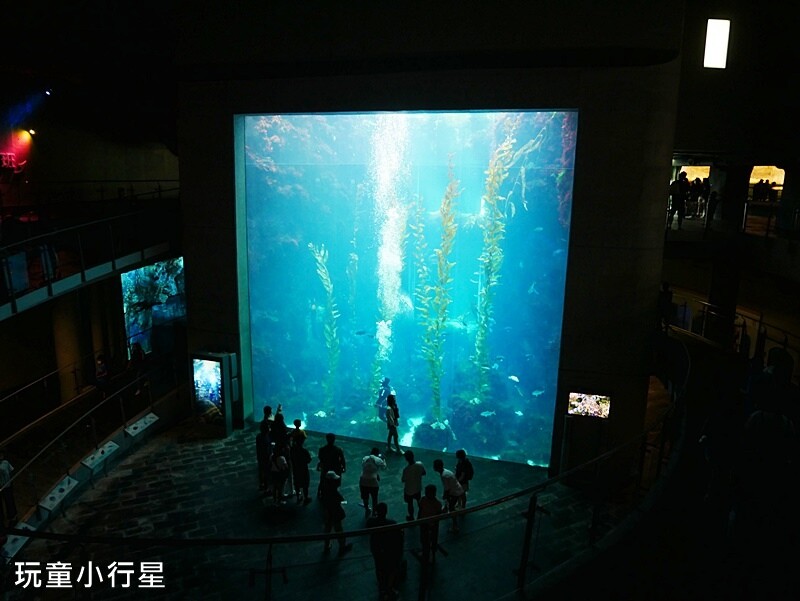 屏東室內景點｜海生館｜屏東玩水