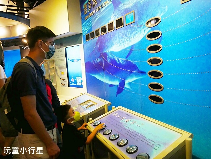 屏東室內景點｜海生館｜屏東玩水