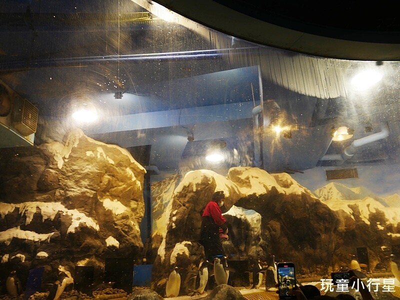 屏東室內景點｜海生館｜屏東玩水