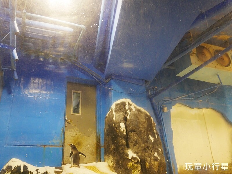 屏東室內景點｜海生館｜屏東玩水