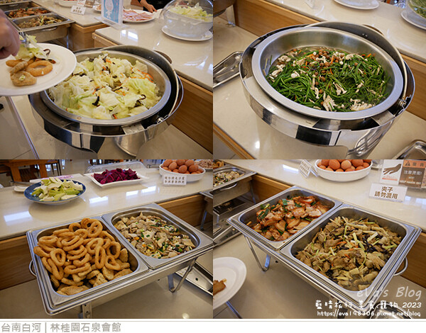 【台南住宿】林桂園石泉會館(寵物友善溫泉會館)，獨房獨戶環境舒適寧靜很有渡假氣氛，顏色如泥水的泥漿溫泉