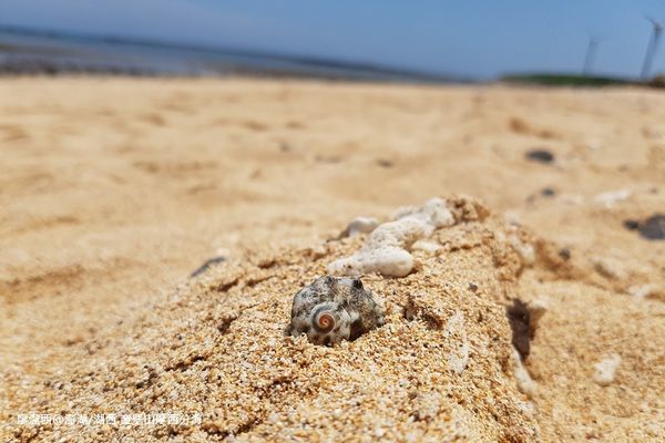 【澎湖/湖西】奎壁山摩西分海
