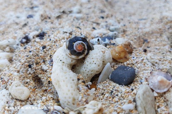 【澎湖/湖西】奎壁山摩西分海