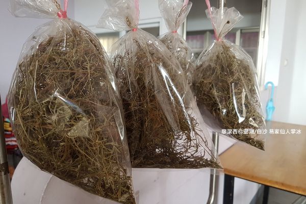 【澎湖/白沙】易家仙人掌冰