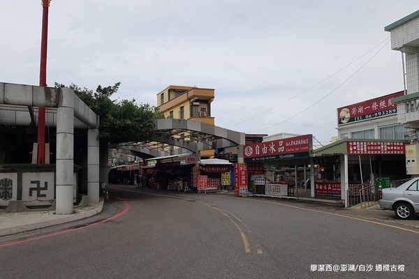 【澎湖/白沙】通樑古榕