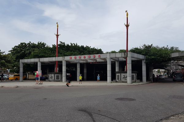 【澎湖/白沙】通樑古榕