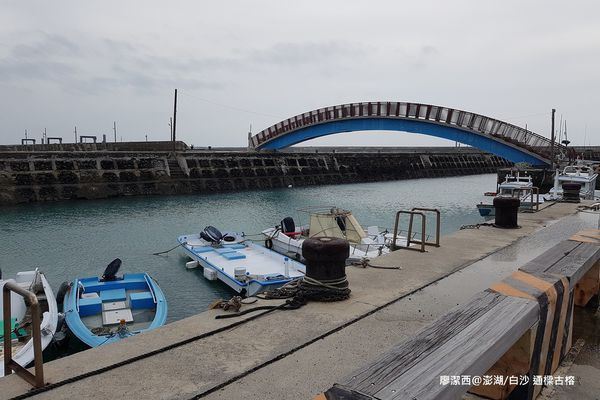 【澎湖/白沙】通樑古榕