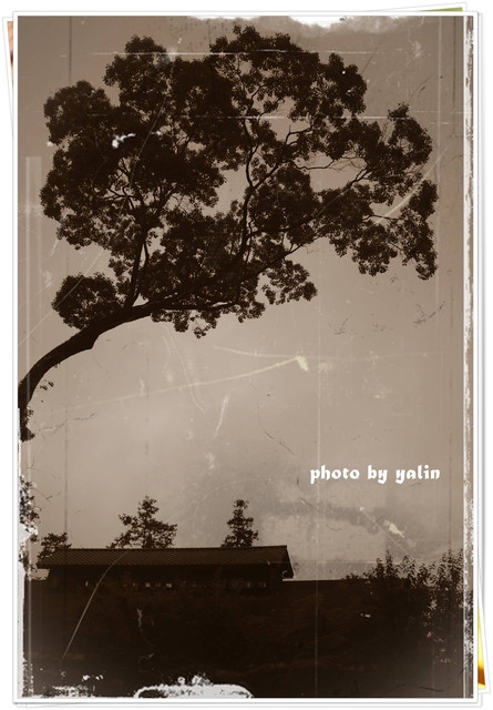 內湖國小:南投鹿谷夢幻學校「內湖國小」能在這裡讀書好幸福 內湖國小:南投鹿谷夢幻學校「內湖國小」能在這裡讀書好幸福